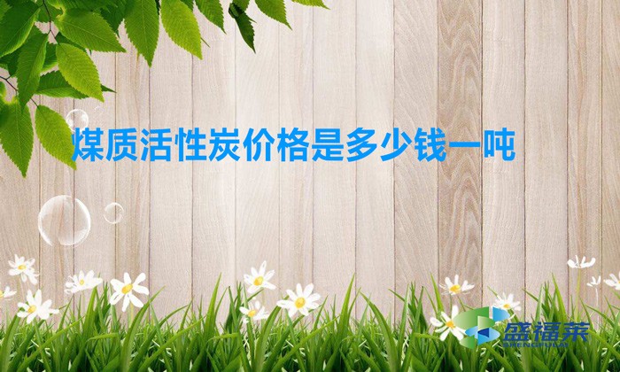 煤質(zhì)活性炭?jī)r(jià)格是多少錢(qián)一噸(煤質(zhì)活性炭?jī)r(jià)格行情)