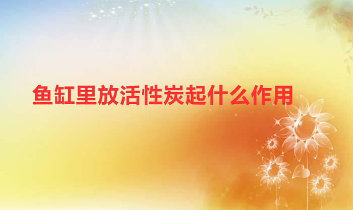 魚缸里放活性炭起什么作用(魚缸放活性炭的好處)