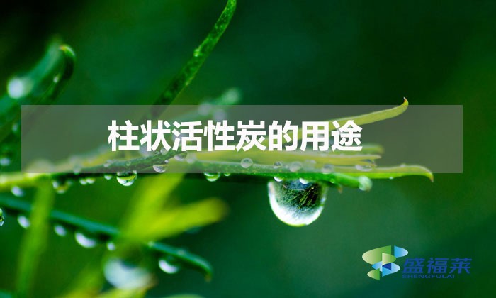 柱狀活性炭的用途(柱狀活性炭都用在哪些方面)