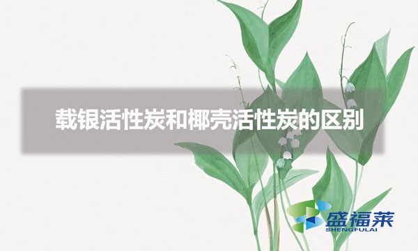 載銀活性炭和椰殼活性炭的區別（載銀活性炭與椰殼活性炭的特點）