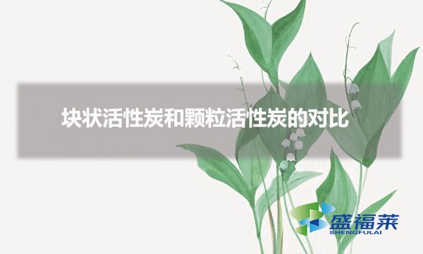 塊狀活性炭和顆?；钚蕴康膶Ρ龋▔K狀和顆?；钚蕴坑心男┎煌?></div>
</a>
</li>
 
<li id=