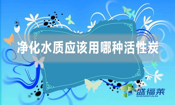 凈化水質應該用哪種活性炭（不同水質使用不同類型的活性炭）