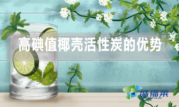 高碘值椰殼活性炭在飲用水處理中的優勢以及缺點