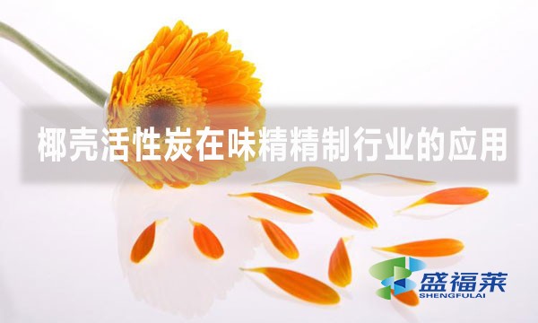 椰殼活性炭在味精精制行業的應用