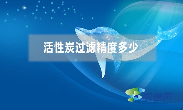 活性炭過濾精度多少，能過濾多大的雜質？