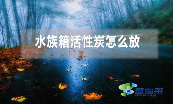 水族箱活性炭怎么放(水族箱活性炭正確使用方法)