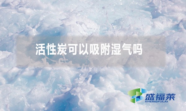 活性炭可以吸附濕氣嗎 為什么?