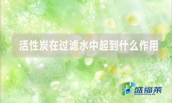 活性炭在過濾水中起到什么作用?