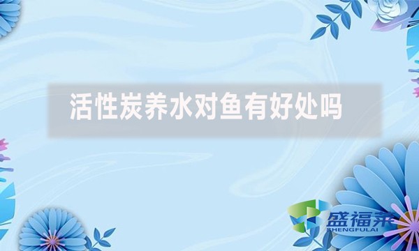 活性炭養水對魚有好處嗎？