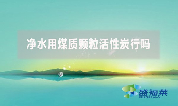 凈水用煤質顆粒活性炭行嗎？