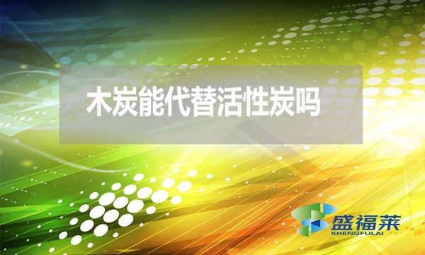 木炭能代替活性炭嗎?為什麼 ?