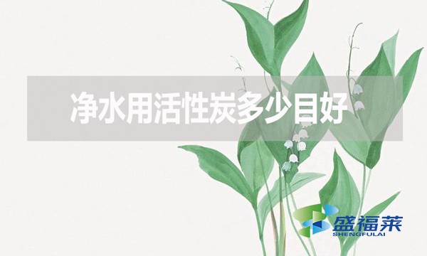 凈水用活性炭多少目好？有哪些優缺點？