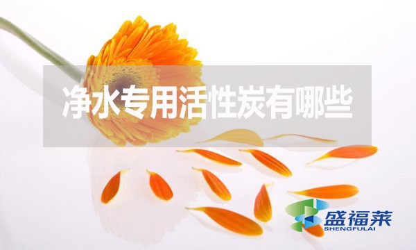 凈水專用活性炭有哪些？多少錢一噸？