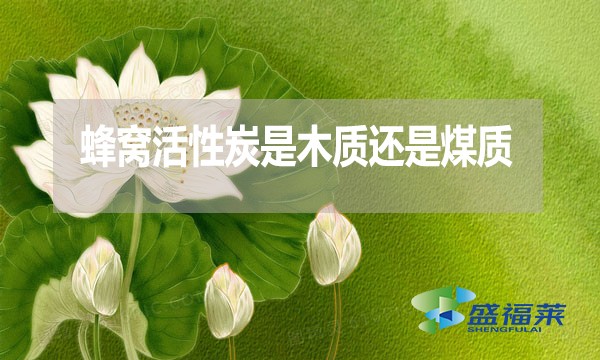 蜂窩活性炭是木質還是煤質？哪種好？