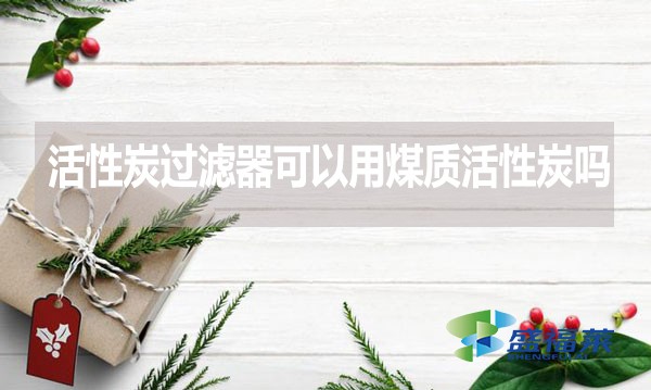 活性炭過濾器可以用煤質(zhì)活性炭嗎？為什么？