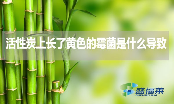 活性炭上長(zhǎng)了黃色的霉菌是什么導(dǎo)致的？還能不能使用？