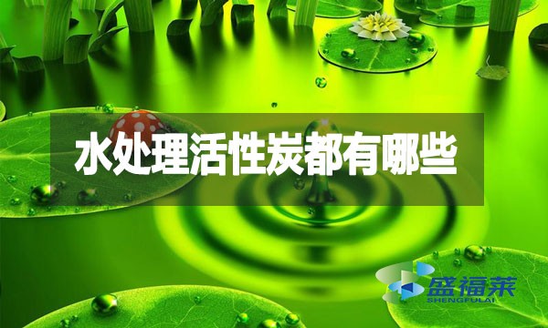 水處理活性炭都有哪些?