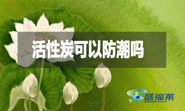 活性炭可以防潮嗎？活性炭防潮防霉效果測試