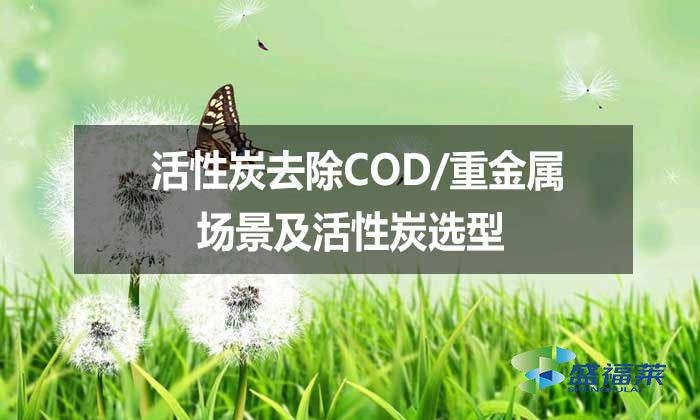 活性炭去除COD/重金屬場(chǎng)景及活性炭選型