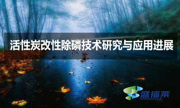 活性炭改性除磷技術(shù)研究與應(yīng)用進展