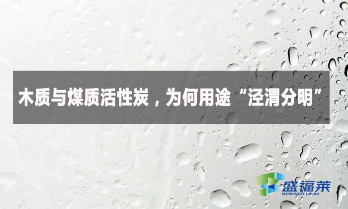 木質(zhì)與煤質(zhì)活性炭,為何用途“涇渭分明”?